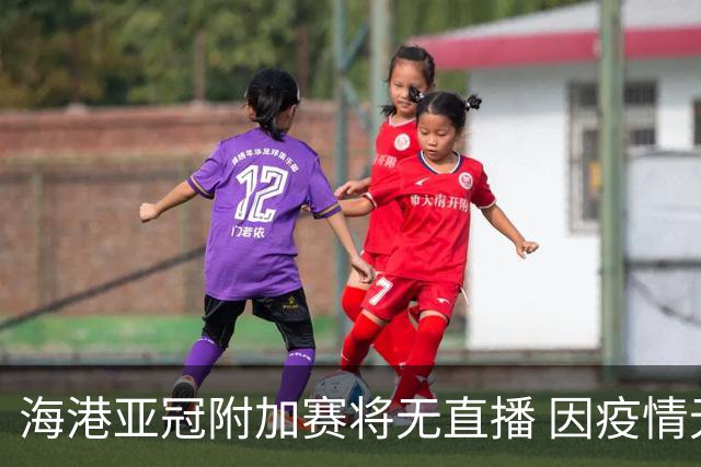 海港亚冠附加赛将无直播 因疫情无法派人录制